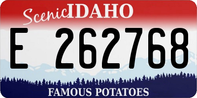 ID license plate E262768