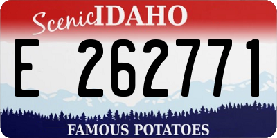 ID license plate E262771