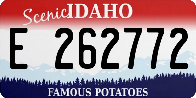 ID license plate E262772