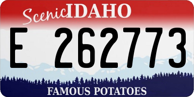 ID license plate E262773