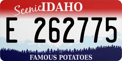 ID license plate E262775