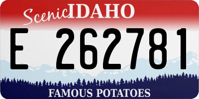ID license plate E262781