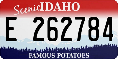 ID license plate E262784