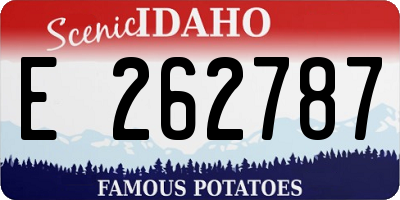 ID license plate E262787