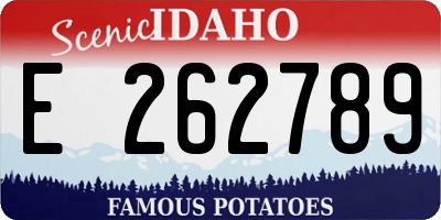ID license plate E262789