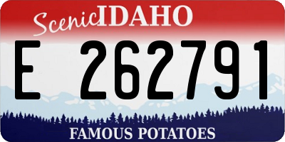 ID license plate E262791