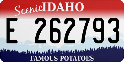 ID license plate E262793