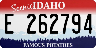 ID license plate E262794