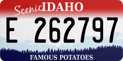 ID license plate E262797
