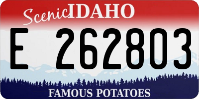 ID license plate E262803