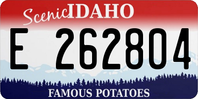 ID license plate E262804