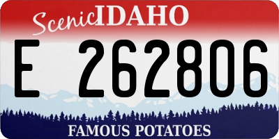 ID license plate E262806