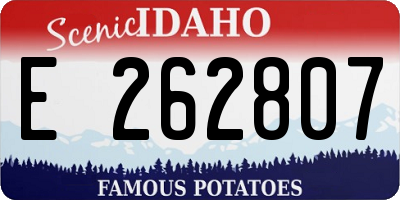 ID license plate E262807