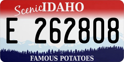 ID license plate E262808