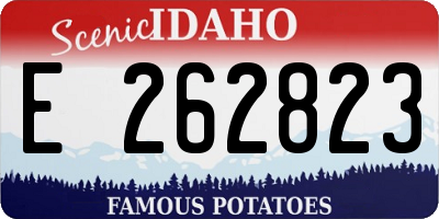 ID license plate E262823