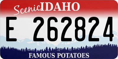 ID license plate E262824