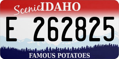ID license plate E262825