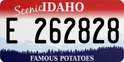 ID license plate E262828