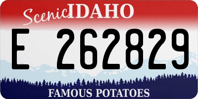 ID license plate E262829