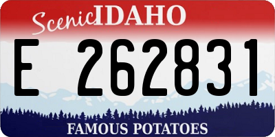 ID license plate E262831