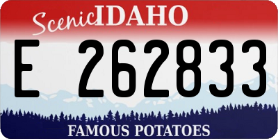 ID license plate E262833