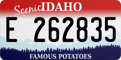 ID license plate E262835