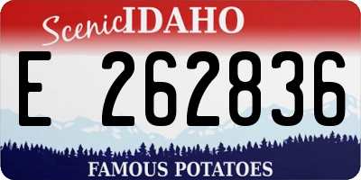ID license plate E262836
