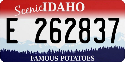 ID license plate E262837