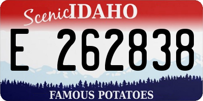 ID license plate E262838