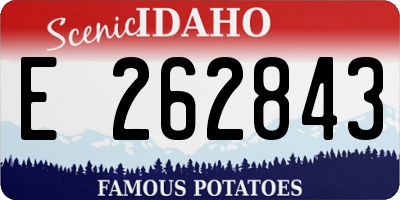 ID license plate E262843