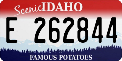 ID license plate E262844