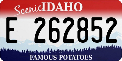 ID license plate E262852