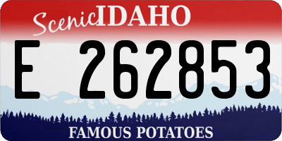 ID license plate E262853