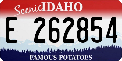 ID license plate E262854