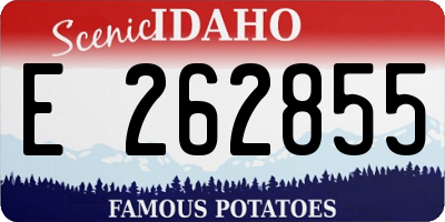 ID license plate E262855