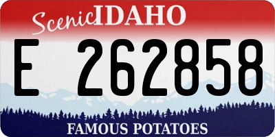 ID license plate E262858