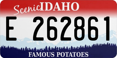 ID license plate E262861