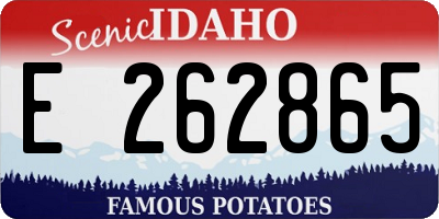 ID license plate E262865