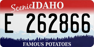 ID license plate E262866