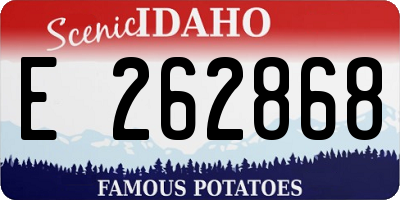 ID license plate E262868