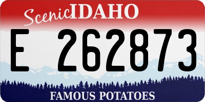 ID license plate E262873