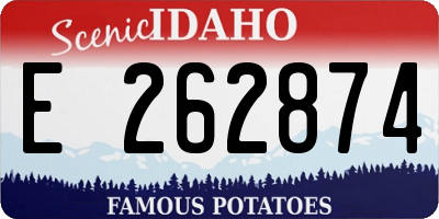 ID license plate E262874