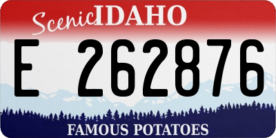 ID license plate E262876