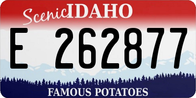 ID license plate E262877