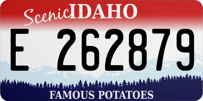 ID license plate E262879