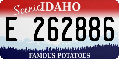 ID license plate E262886