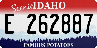 ID license plate E262887