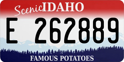 ID license plate E262889