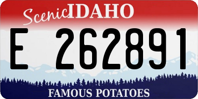 ID license plate E262891