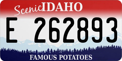 ID license plate E262893